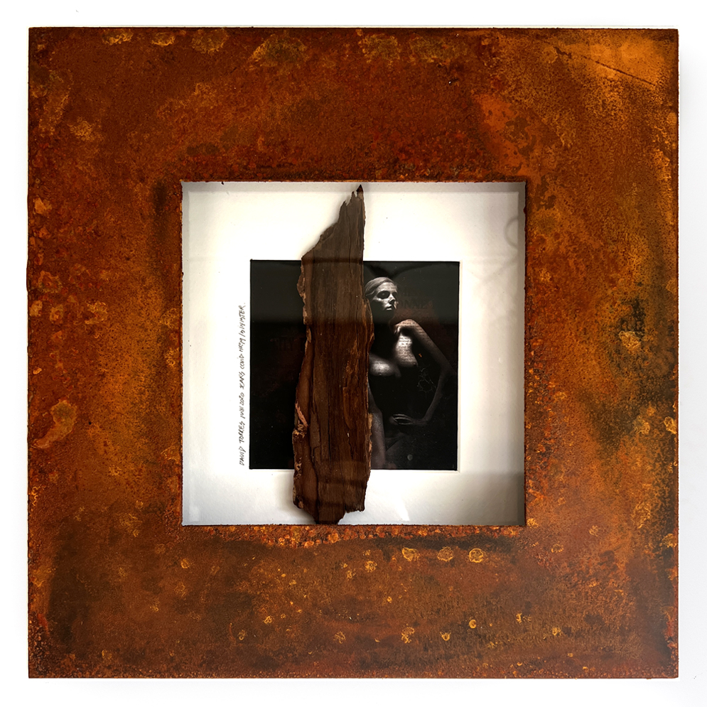 Sinister 2020  34 cm x 34 cm Cold rusted Steel - dead wood - photo  <br> Price 450 € (VAT included)